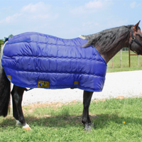 Taylor Collection Winter Stable Blanket
