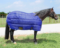 Taylor Collection Winter Stable Blanket