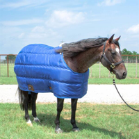 Taylor Collection Winter Stable Blanket - Image 2
