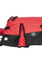 Taylor Collection Perfect Fit Turnout Blanket - Image 3