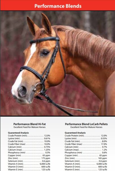 Assurance Feeds - Performance Blends - Image 2