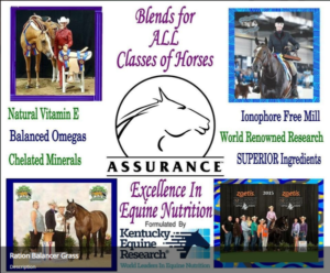 Assurance Feeds - Performance Blends